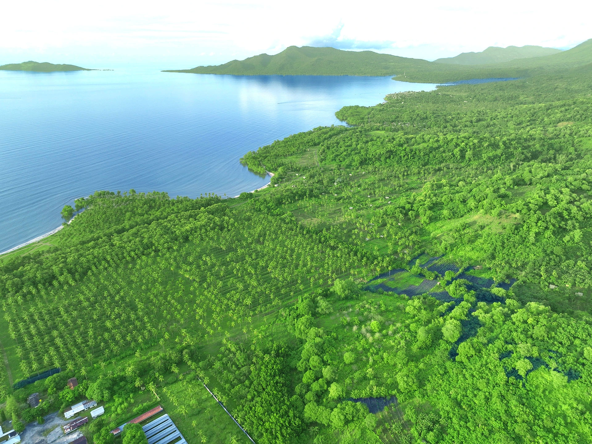 Rice terraces